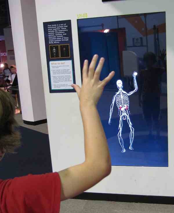 photo of exhibit with interactive skeleton
